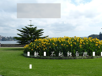 貸款還不起能否改時間(貸款還不起能否改時間)