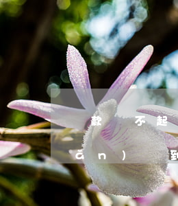 貸款還不起轉(zhuǎn)貸(轉(zhuǎn)貸到期還不上會(huì)出現(xiàn)什么情況?)