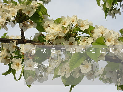 貸款還不起辦理延期(貸款還不起辦理延期怎么辦)