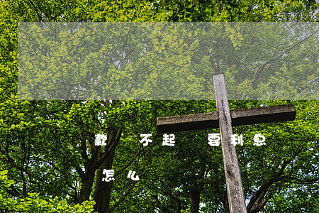 貸款還不起還要利息嗎(貸款還不起還要利息嗎怎么辦)