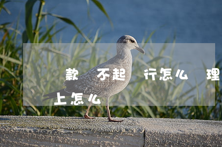 貸款還不起銀行怎么處理方法(銀行貸款還不上怎么辦)