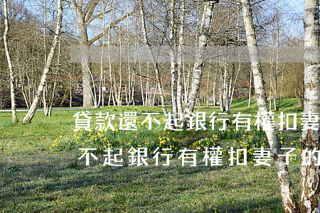 貸款還不起銀行有權扣妻子的錢不-貸款還不起銀行有權扣妻子的錢不還嗎