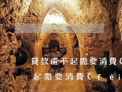 貸款還不起需要消費(fèi)嗎（貸款還不起需要消費(fèi)嗎）