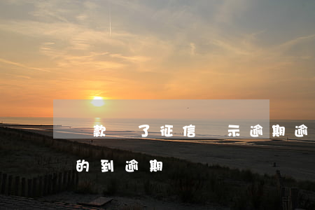 貸款還了征信顯示逾期(逾期還款了征信還查的到逾期嗎)