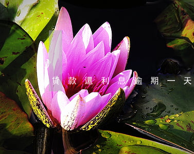 貸款還利息逾期一天(逾期一天有利息嗎)