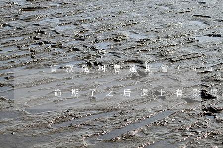 貸款還利息逾期會(huì)怎樣(貸款利息逾期了之后還上有影響嗎)