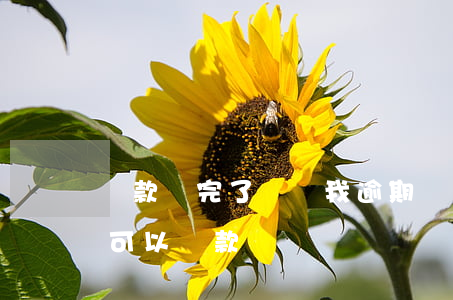 貸款還完了還說我逾期(貸款逾期還了以后還可以貸款嗎)