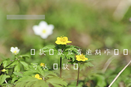 貸款還款后有逾期咋辦(貸款逾期還了以后還可以貸款嗎)