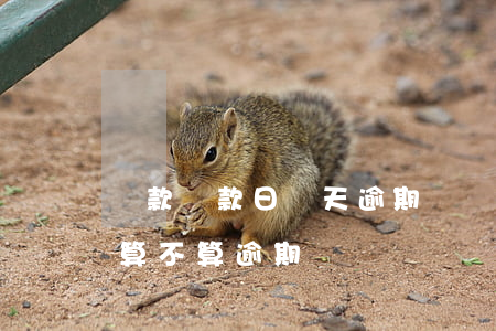 貸款還款日當天逾期嗎(貸款還款日當天還款算不算逾期)