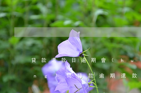 貸款還款日逾期會(huì)怎樣(請(qǐng)問貸款逾期還款會(huì)是怎么樣的后果)