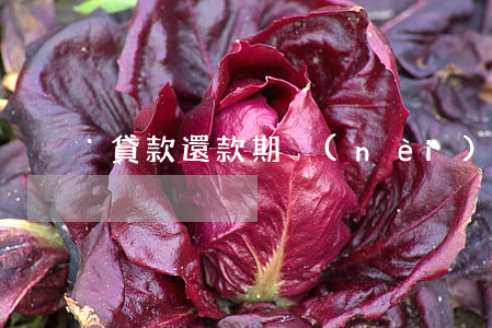 貸款還款期內(nèi)逾期已還