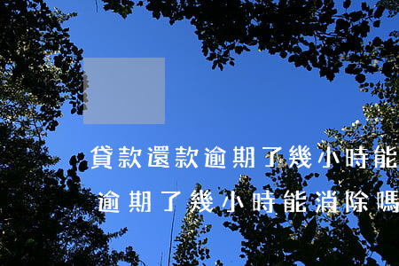 貸款還款逾期了幾小時能消除嗎-貸款還款逾期了幾小時能消除嗎怎么辦