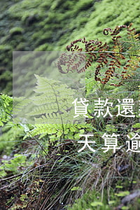 貸款還款逾期幾天記錄(貸款忘記還了,逾期一天算逾期么?)