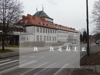 貸款還款逾期怎么辦(貸款還款逾期怎么辦理)