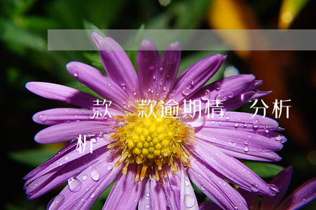 貸款還款逾期情況分析(貸款還款逾期情況分析)