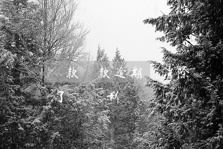 貸款還款逾期會消除嗎(貸款逾期了后面還清了還會影響嗎)