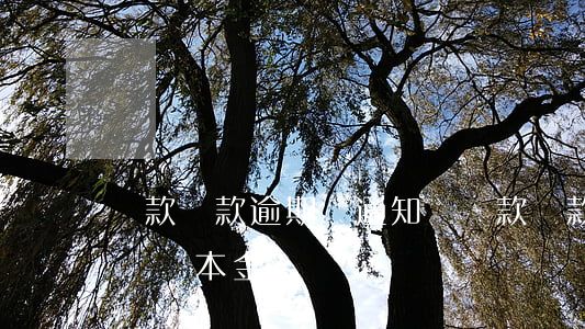 貸款還款逾期會通知嗎(貸款還款逾期會通知嗎還本金嗎)