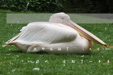 貸款都逾期了沒(méi)錢(qián)還(你我貸逾期了一年多了沒(méi)錢(qián)還怎么辦啊)