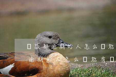 貸款都逾期的人怎么還能有錢消費-貸款都逾期的人怎么還能有錢消費呢