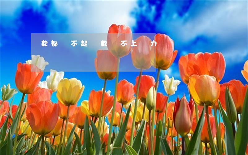 貸款都還不起（貸款還不上無力償還）