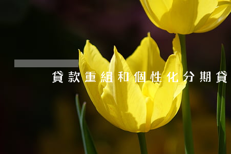 貸款重組和個性化分期(貸款重組區(qū)別)