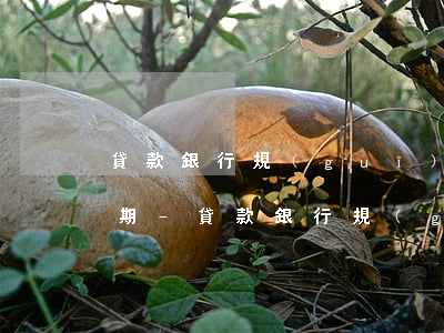 貸款銀行規(guī)定每個月的幾日為逾期-貸款銀行規(guī)定每個月的幾日為逾期還款日