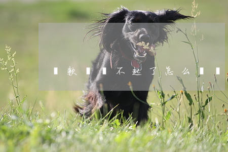 貸款錢還不起了怎么辦（錢鉆貸款還不起）
