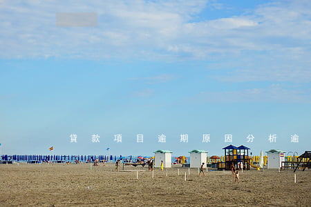 貸款項目逾期原因分析(逾期貸款分析報告)