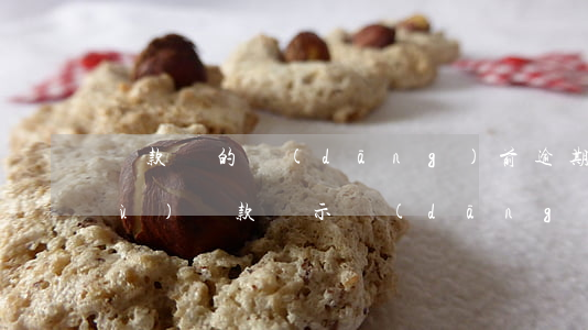 貸款類的當(dāng)前逾期期數(shù)(貸款顯示當(dāng)前逾期)