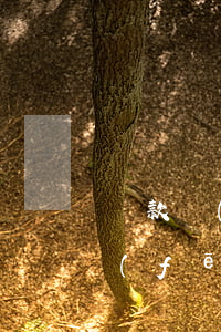貸款風(fēng)險分類逾期天書(貸款風(fēng)險分類逾期天書)
