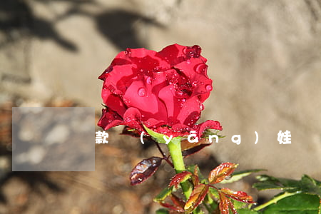 貸款養(yǎng)娃還不起怎么辦