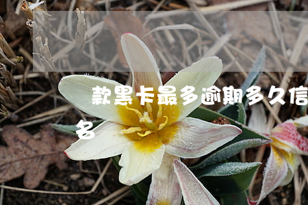 貸款黑卡最多逾期多久(信用卡逾期多久會黑名單)