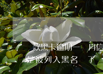 貸款黑卡逾期一個月(信用卡逾期一年了是不是被列入黑名單了?)