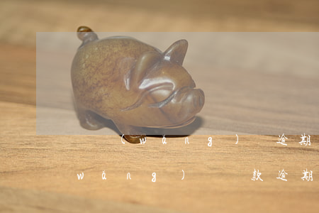 貸網(wǎng)貸逾期多久會被起訴(網(wǎng)貸貸款逾期多久會被起訴)