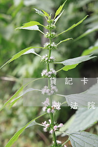 貸記卡可以被法院凍結(jié)嗎(儲蓄卡被法院凍結(jié),信用卡會被凍結(jié)嗎)
