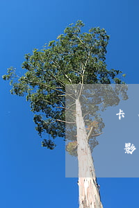 貸記卡有逾期影響房貸嗎(信用卡之前有逾期記錄影響購(gòu)房貸款)
