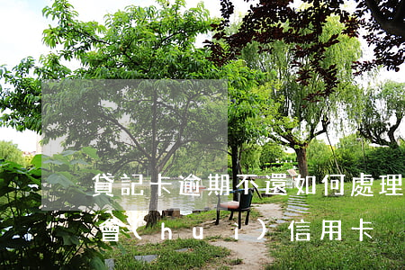 貸記卡逾期不還如何處理（貸記卡透支逾期社會(huì)信用卡）