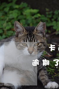 貸記卡逾期了還進去還能借出來嗎-貸記卡逾期了還進去還能借出來嗎安全嗎