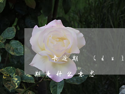 貸記卡逾期對(duì)貸款影響(貸記卡逾期是什么意思)