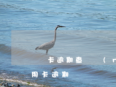 貸記卡逾期查詢農(nóng)村信用卡(信用卡 逾期記錄)
