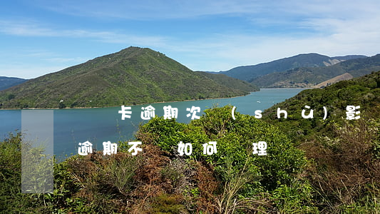 貸記卡逾期次數(shù)影響貸款(貸記卡逾期不還如何處理)