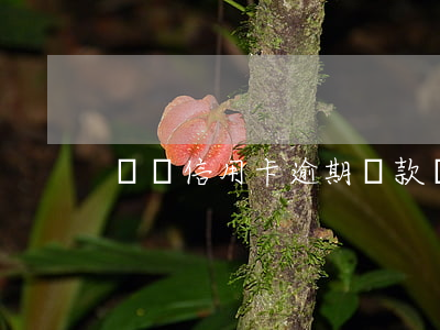 貸貸信用卡逾期還款(還貸卡逾期怎么辦)