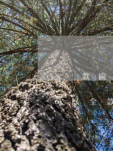 貸貸款逾期能全貸款(網(wǎng)貸逾期可以全款買(mǎi)房嗎)