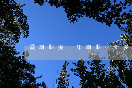 貸逾期快一年(逾期一年多了)