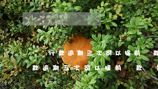 貸銀行款逾期三次可以提前還款嗎-貸銀行款逾期三次可以提前還款嗎知乎