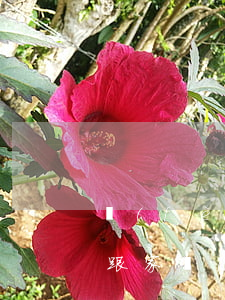 費(fèi)用逾期未繳費(fèi)怎么跟家長(zhǎng)解釋-費(fèi)用逾期未繳費(fèi)怎么跟家長(zhǎng)解釋呢