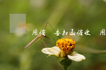 費用催繳告知函(催收費用通知函)