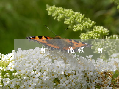 費用報銷流程(費用報銷流程不完善的問題)