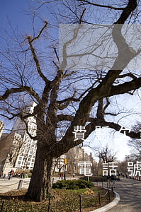 費縣欠錢糾紛律師費怎么算(費縣律師事務所電話號碼)