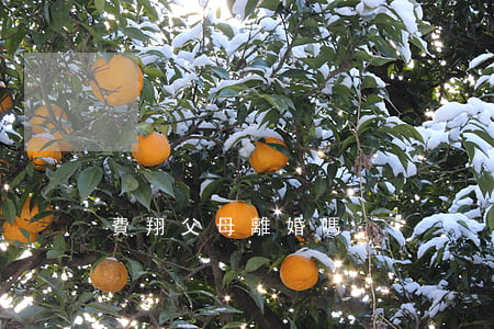費翔父母離婚嗎